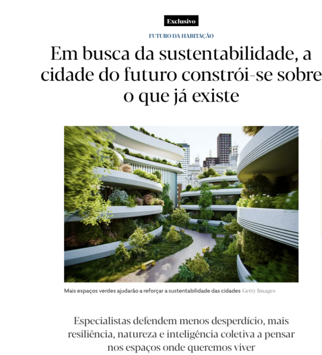 Image article